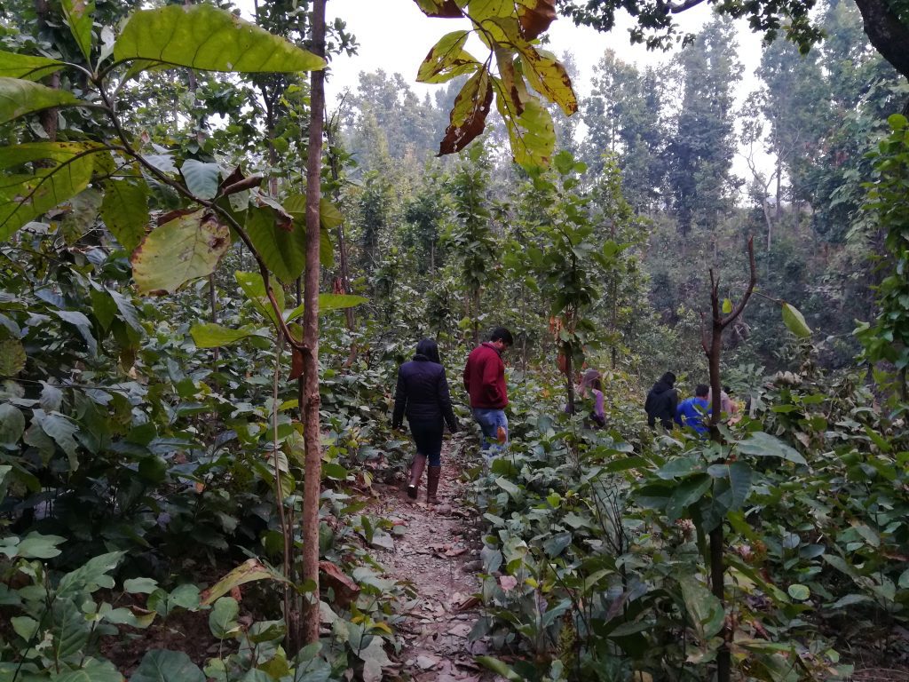 Jim Corbett